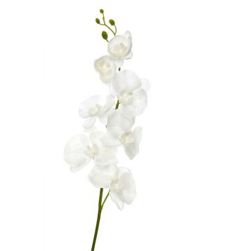 Orchidee polyester weiss