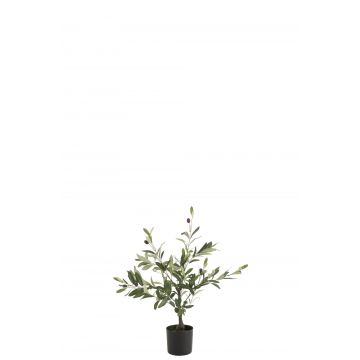 Olivenbaum in topf plastik grün small
