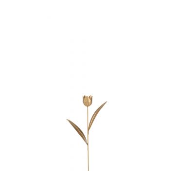 Tulpe gold small